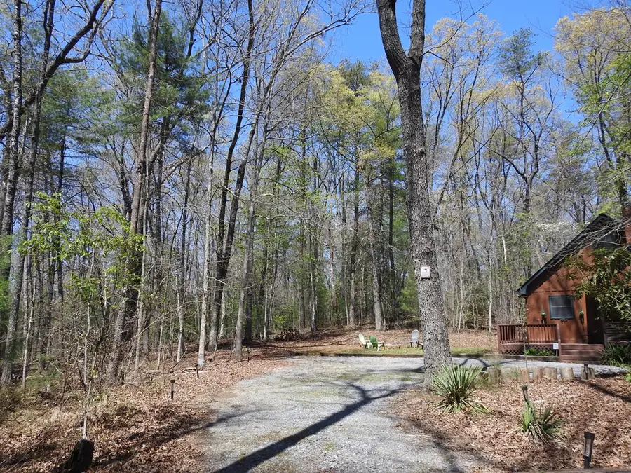 55 Deer Watch Lane, Blue Ridge, GA 30513 - #2