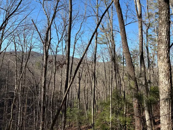 Lot 61 Laurel Trail, Suches, GA 30572