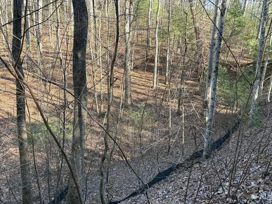 Lot 61 Laurel Trail, Suches, GA 30572 - #2