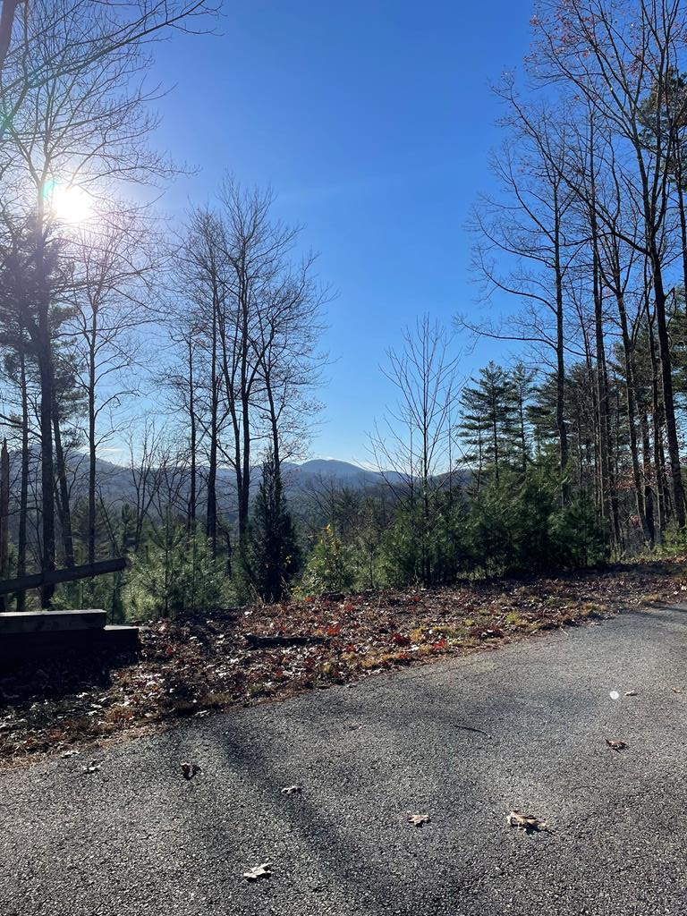 Lot 62 Gobblers Knob/laurel, Suches, GA 30572 - #3