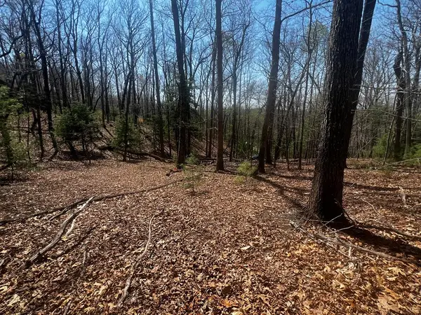 LOT 5 High Country Lane, Morganton, GA 30560