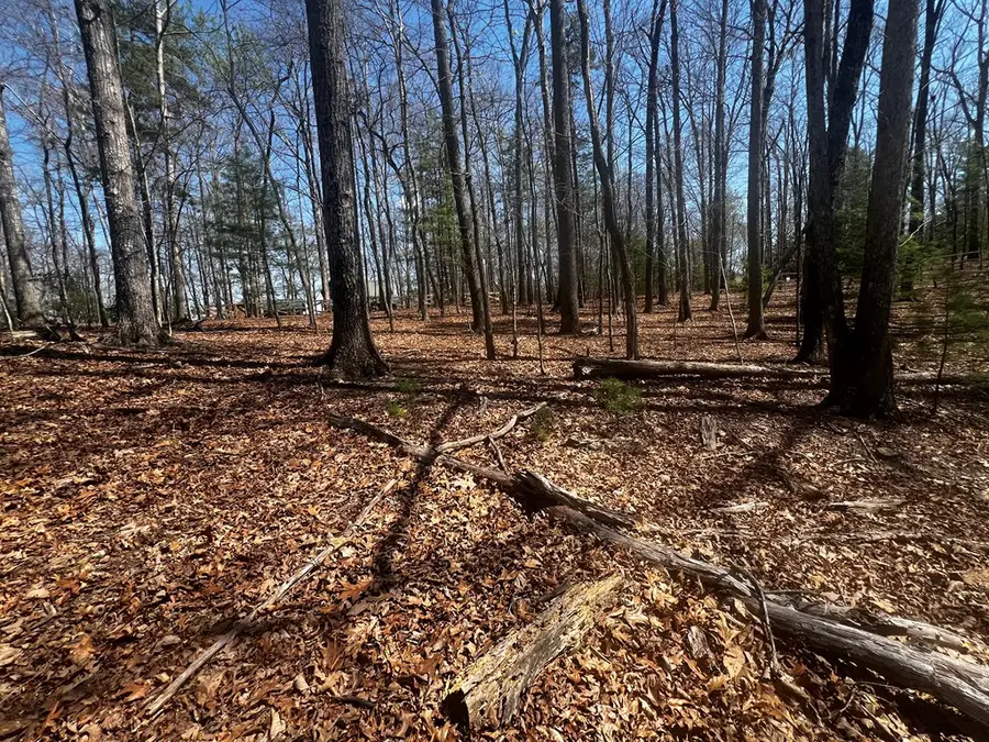 LOT 5 High Country Lane, Morganton, GA 30560 - #3