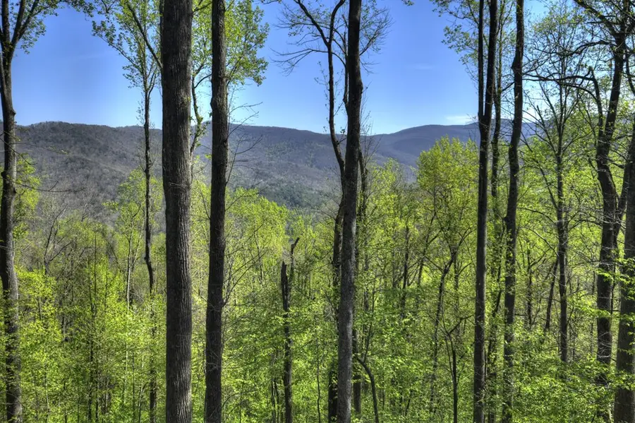 1831 Walnut Ridge, Ellijay, GA 30536 - #3