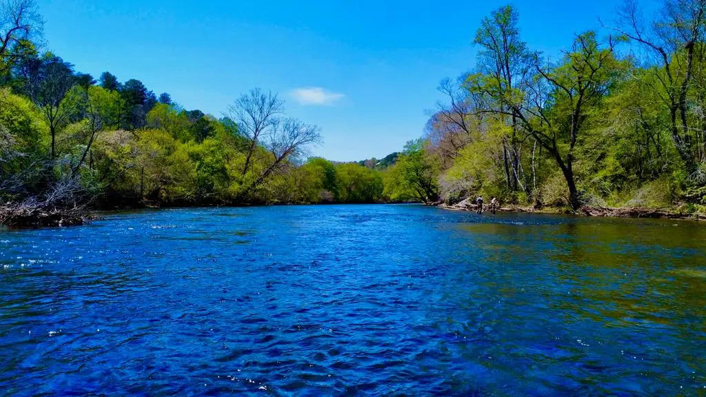 00 Toccoa River Forest, Mineral Bluff, GA 30559 - #1