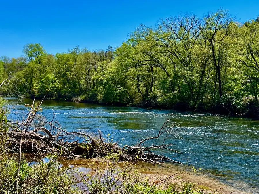 00 Toccoa River Forest, Mineral Bluff, GA 30559 - #3