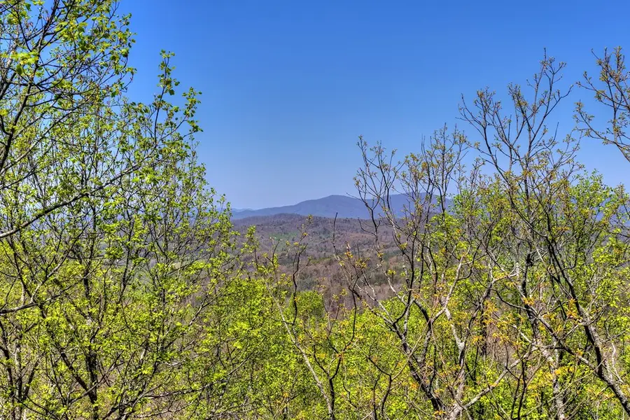 1073 Old Burnt Mountain Road, Ellijay, GA 30536 - #2