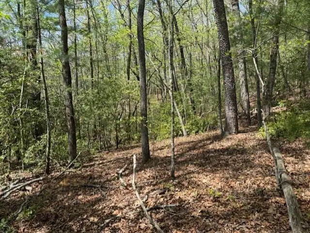 Lot 9 Marjorie Avenue, Ellijay, GA 30536 - #1
