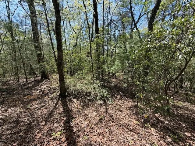 Lot 9 Marjorie Avenue, Ellijay, GA 30536 - #2