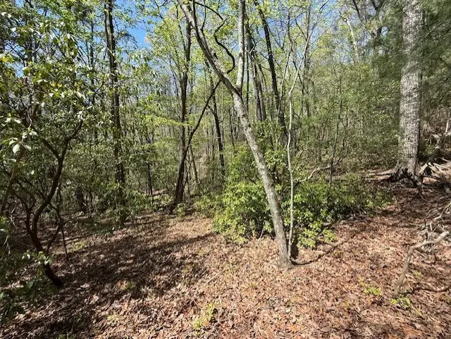 Lot 9 Marjorie Avenue, Ellijay, GA 30536 - #3