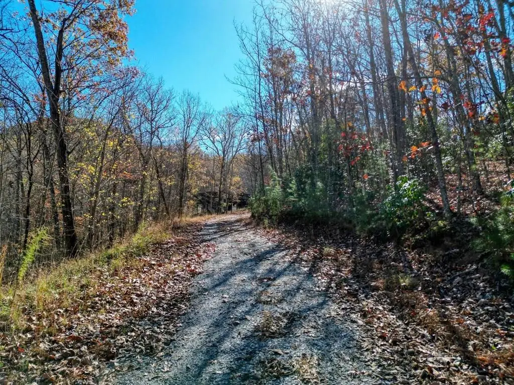 57.59 Winchester Creek, Young Harris, GA 30582 - #1