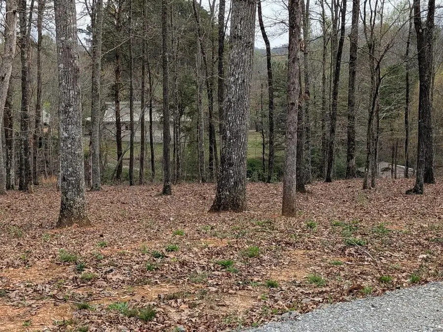 12 Daisy Drive, Brasstown, NC 28902 - #3