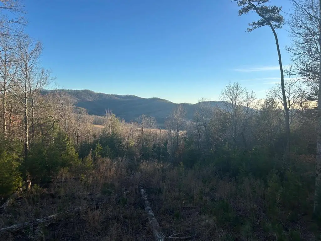 0 Stanleys Ridge, Morganton, GA 30560 - #1
