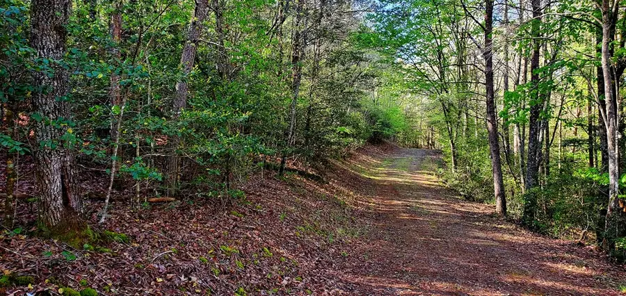 H-5 River Sound Village, Hayesville, NC 28904 - #3