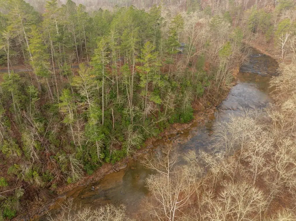 Lot 1742 Meadow Lane, Talking Rock, GA 30175 - #1