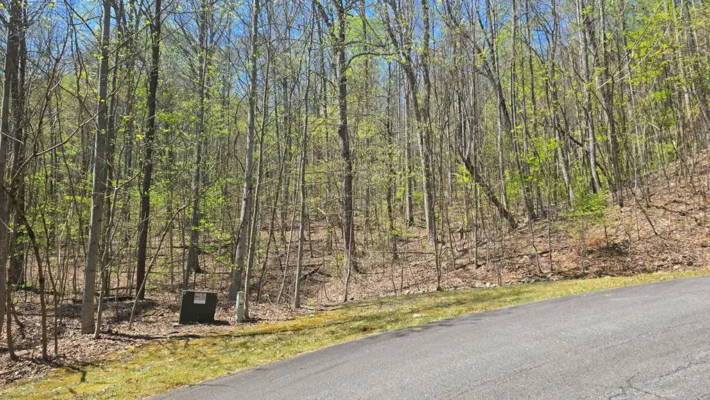 Lot 18 Overlook Loop, Young Harris, GA 30582 - #1