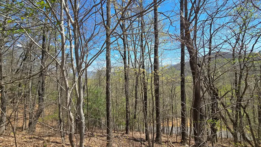 Lot 18 Overlook Loop, Young Harris, GA 30582 - #3