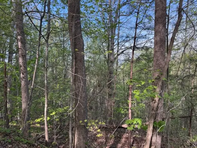 00 Mining Gap Road, Young Harris, GA 30582 - #3