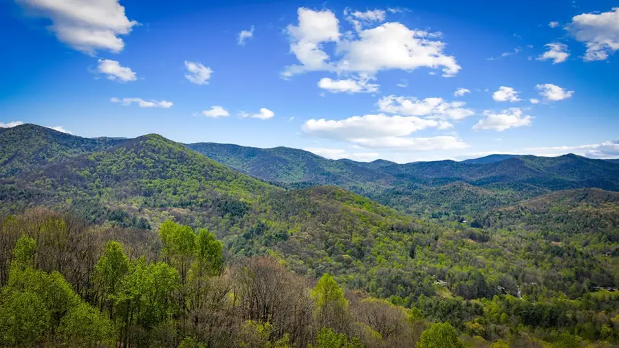 890 Brittney Drive, Blue Ridge, GA 30513 - #3