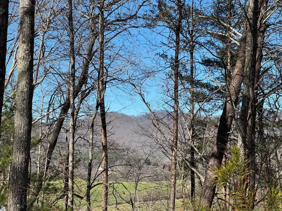 74 Timber Lane, Blairsville, GA 30512 - #2