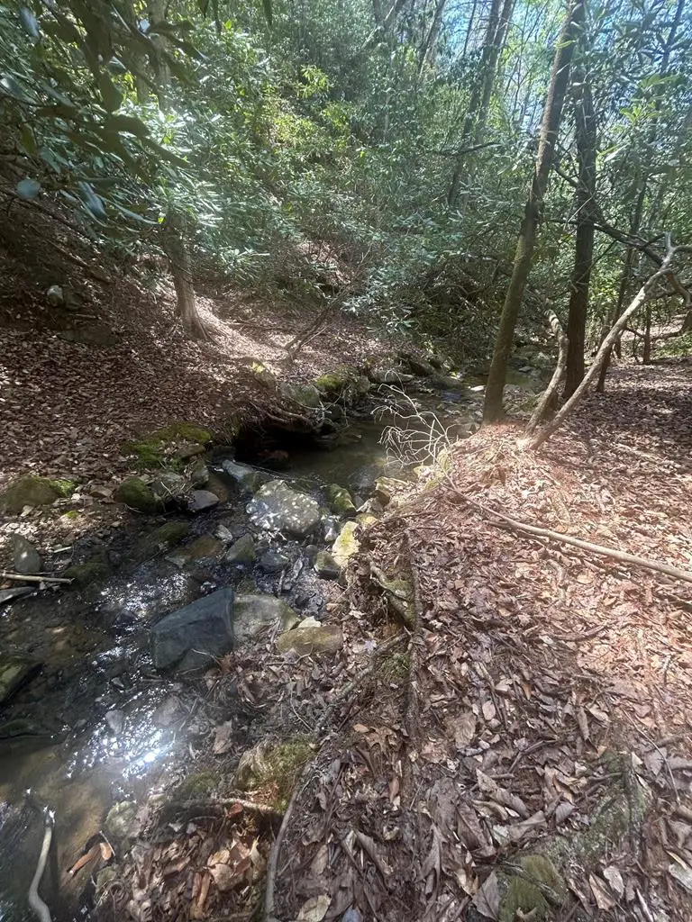 6.56acre Liberty Hill Road, Blairsville, GA 30512 - #1