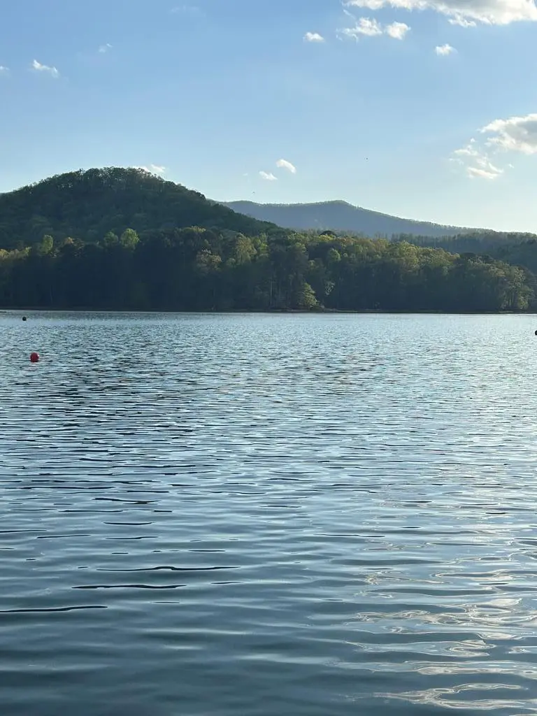 11 Safe Harbor Road, Hiawassee, GA 30546 - #1