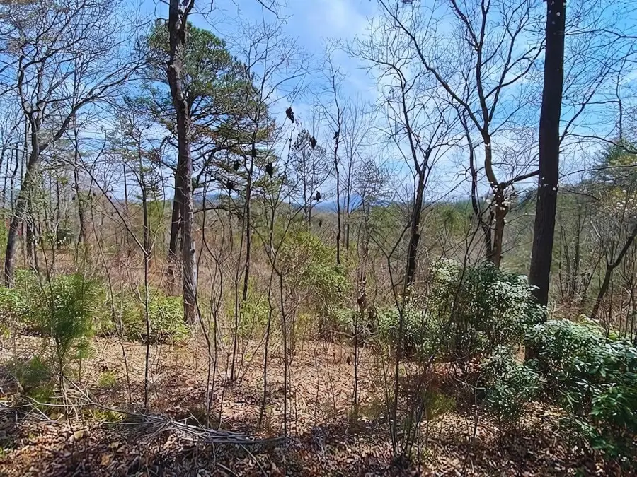 Lot 28 Brasstown Trails, Warne, NC 28909 - #3