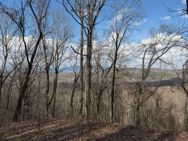 Lot 190 Hawks Nest Court, Ellijay, GA 30536 - #1