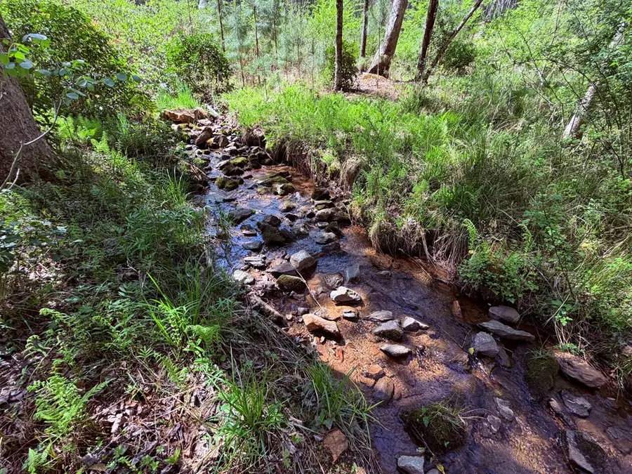 2.7acres Oakwood Way, Blairsville, GA 30512 - #2