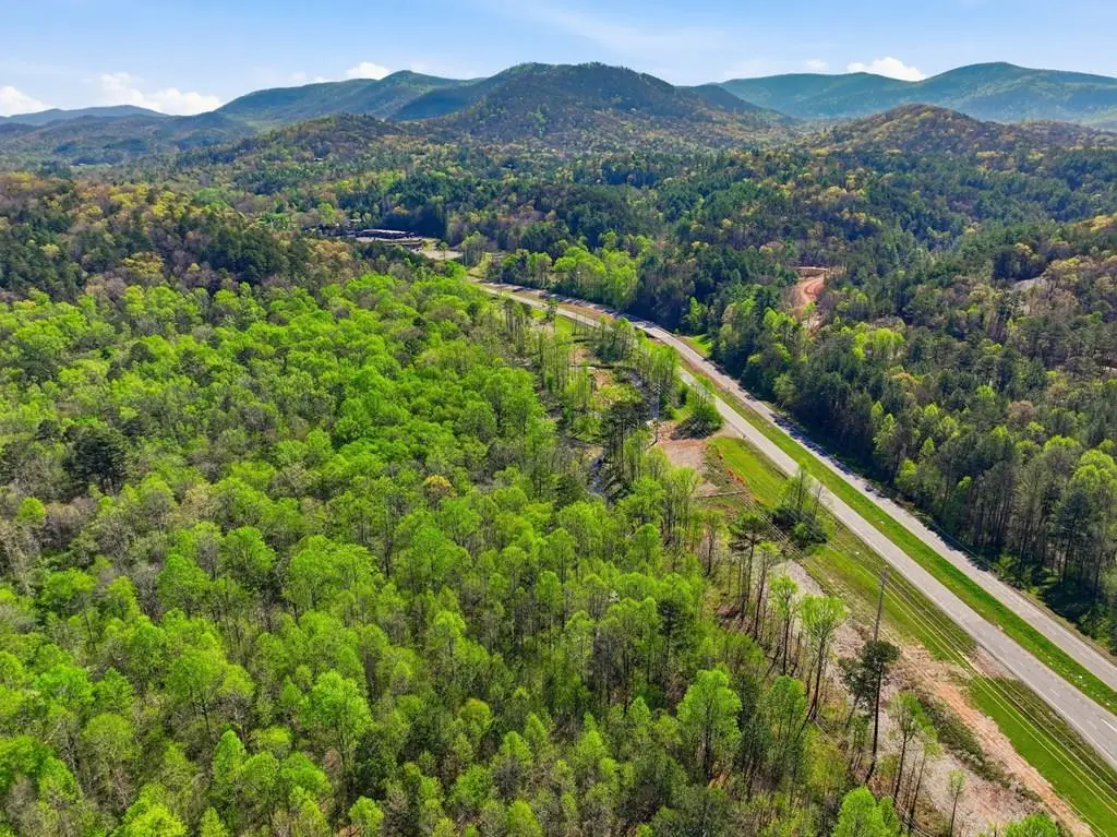 123AC Northcutt Rd/hwy 515, Ellijay, GA 30540 - #1