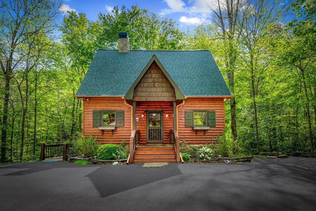 180 Down Under Road, Blue Ridge, GA 30513 - #1