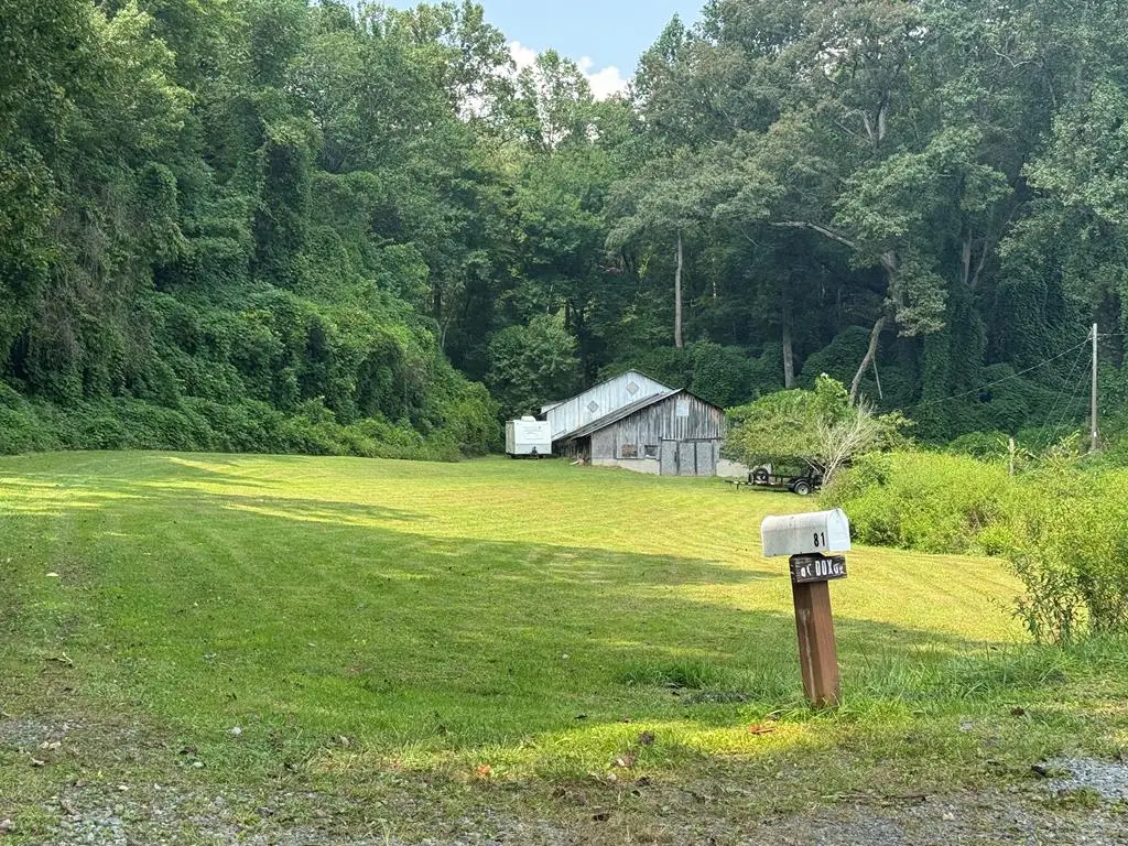 81 Doxol Street, Blue Ridge, GA 30513 - #1