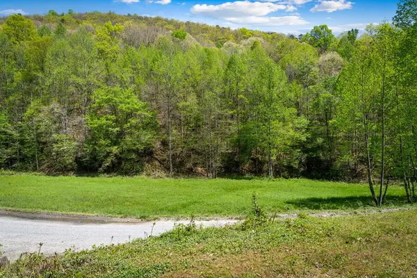 891 Bushy Head Road, Cherry Log, GA 30522