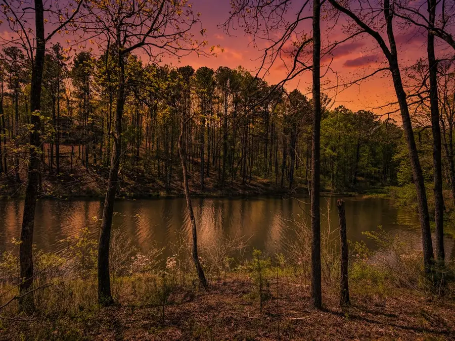 177R Overlook Way, Ellijay, GA 30536 - #3