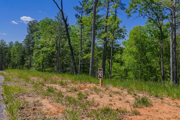 Lot 343 Shallow Branch Drive, Talking Rock, GA 30175