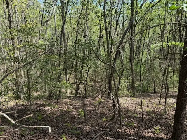 Lot 5 Marjorie Avenue, Ellijay, GA 30536 - #2
