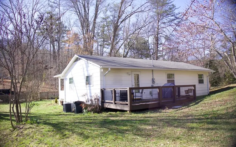 331 Blue Arrow Lane, Mineral Bluff, GA 30599 - #3