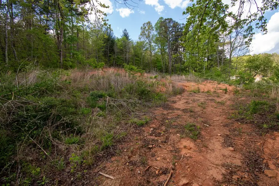 00 W Vineyard Road, Hayesville, NC 28904 - #3