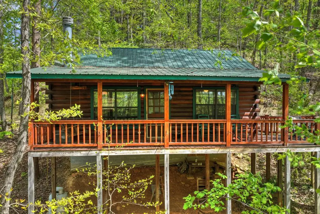 660 Ripshin Mountain Road, Blue Ridge, GA 30513 - #1