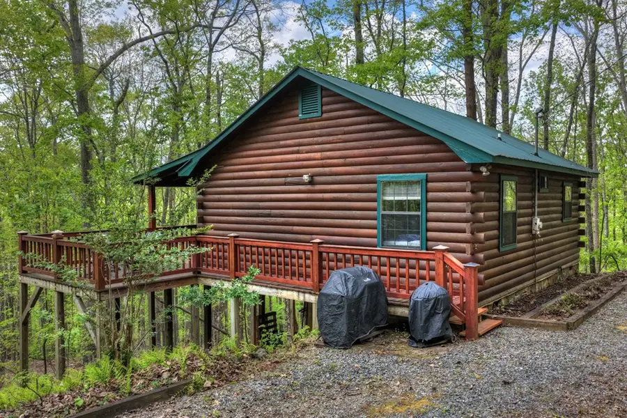 660 Ripshin Mountain Road, Blue Ridge, GA 30513 - #2