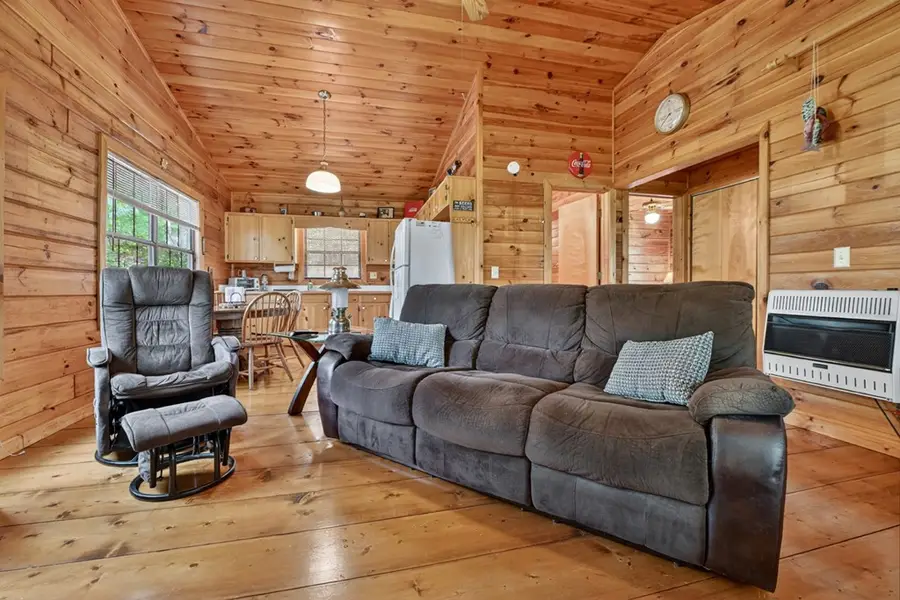 660 Ripshin Mountain Road, Blue Ridge, GA 30513 - #3