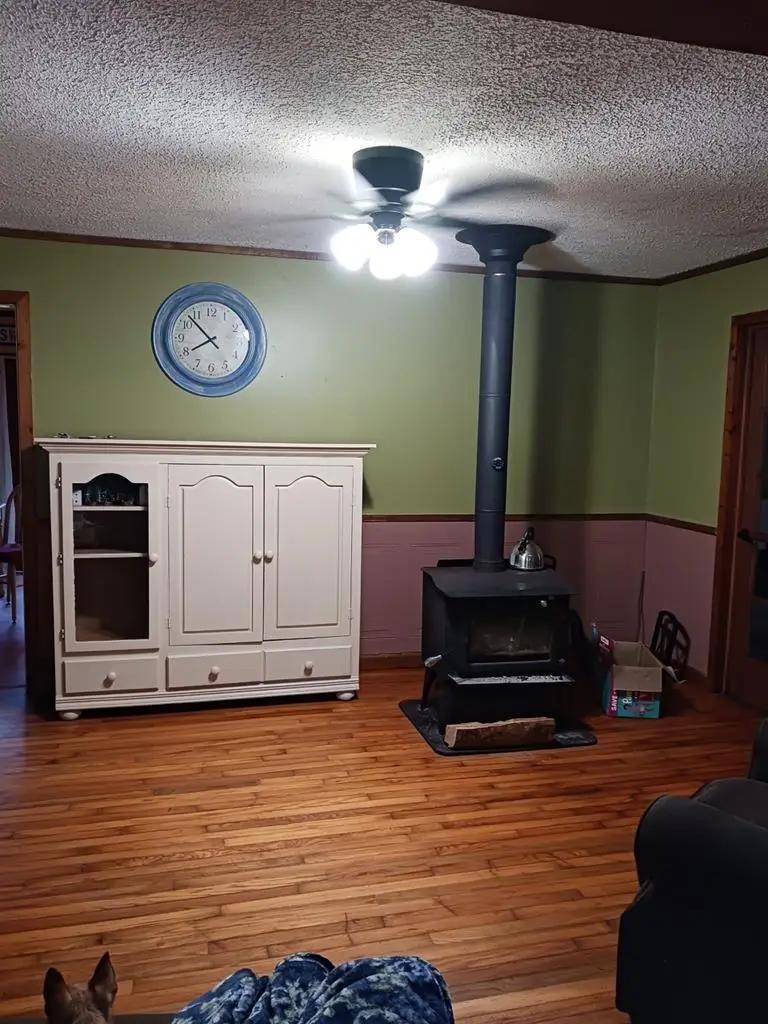 511 Gumlog, Blairsville, GA 30512 - #3