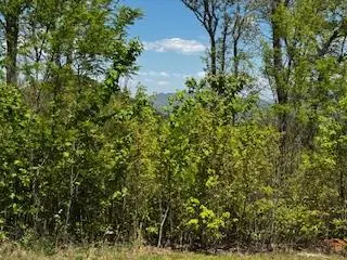 Lot 68 Bowers Road, Blairsville, GA 30512 - #1