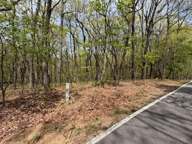 Lot 26 Falcons Nest, Jasper, GA 30143 - #3