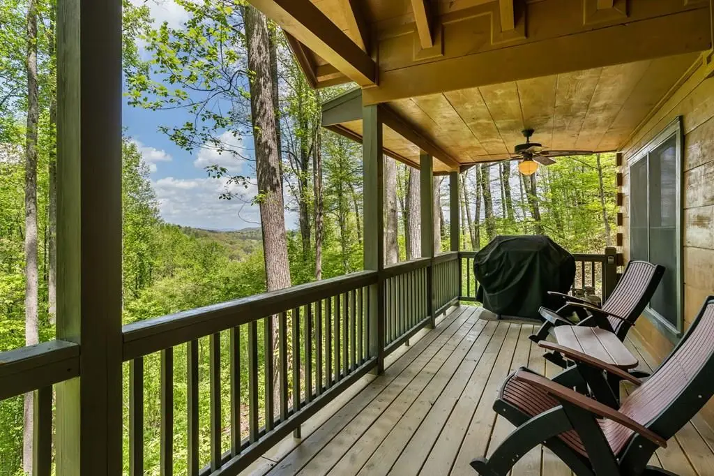 431 Little Bushy Head Road, Blue Ridge, GA 30513 - #1