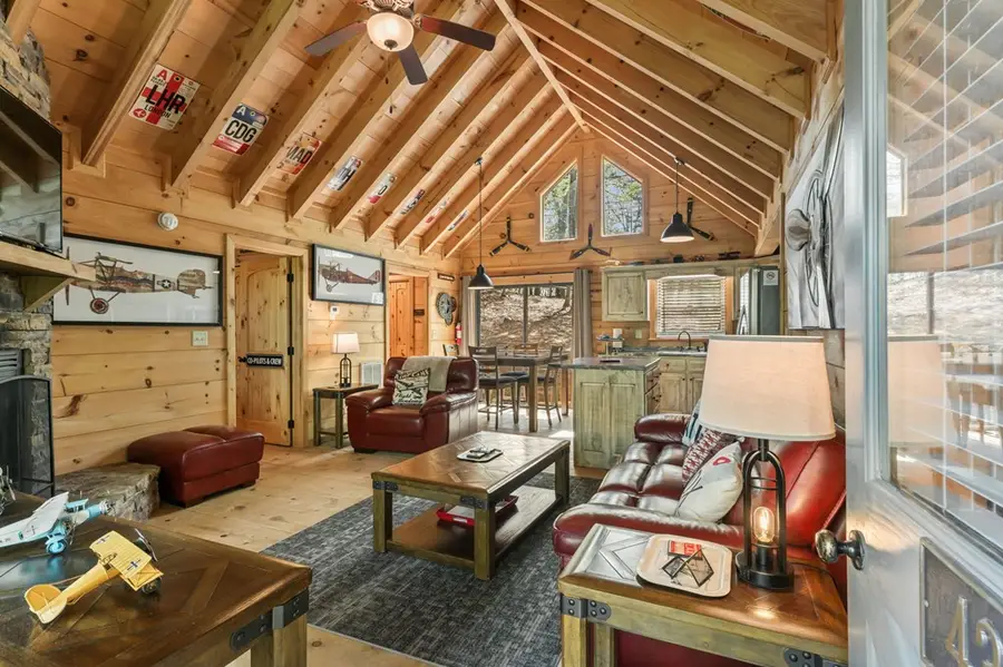 431 Little Bushy Head Road, Blue Ridge, GA 30513 - #3