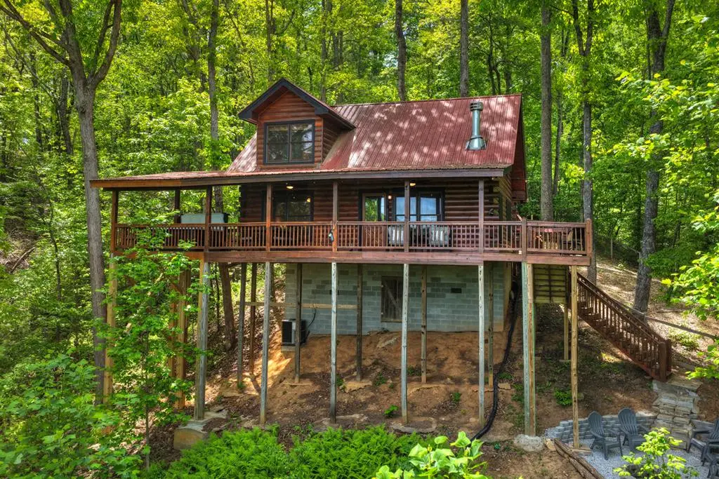 40 Joanna Court, Cherry Log, GA 30522 - #1