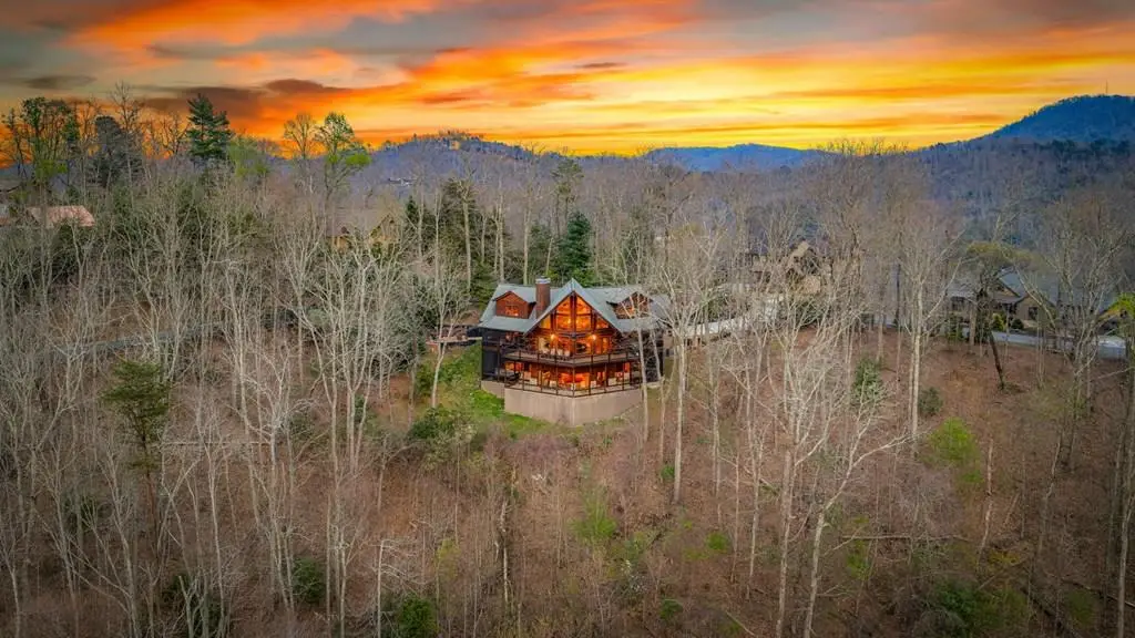 602 Overlook Road, Blue Ridge, GA 30513 - #1