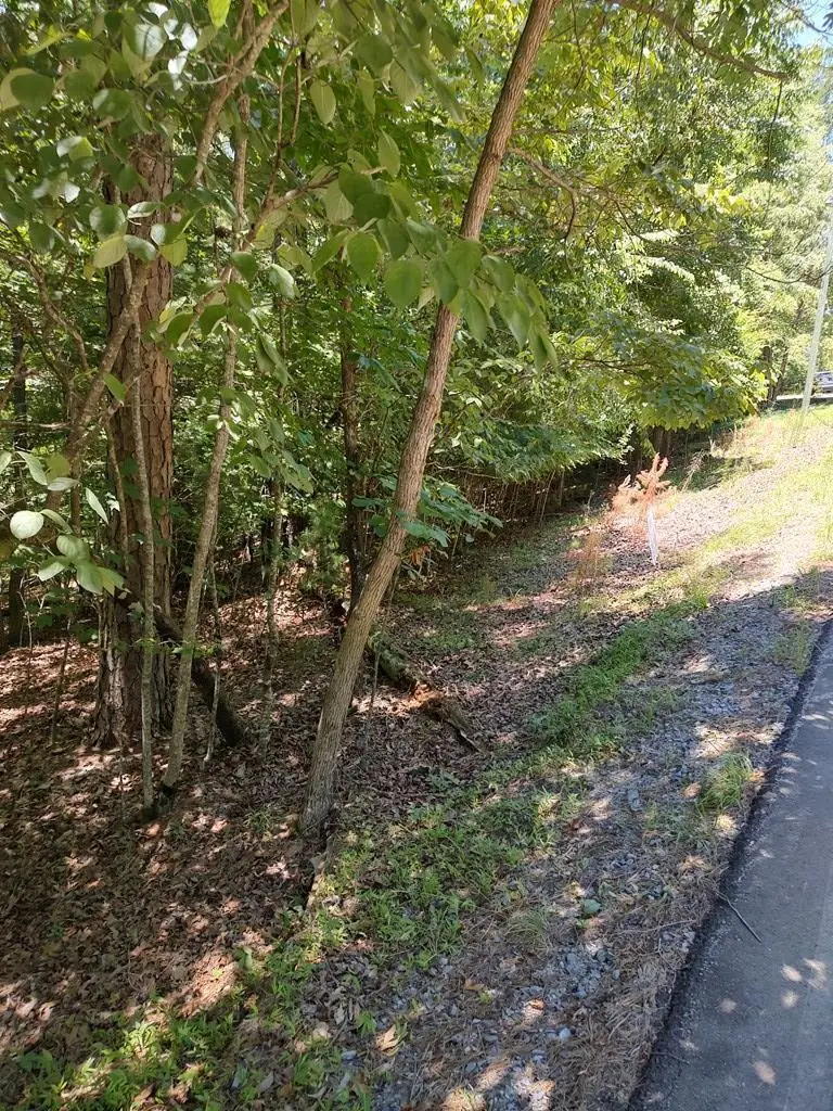 Lot 853 Matrix Lane, Ellijay, GA 30540 - #1