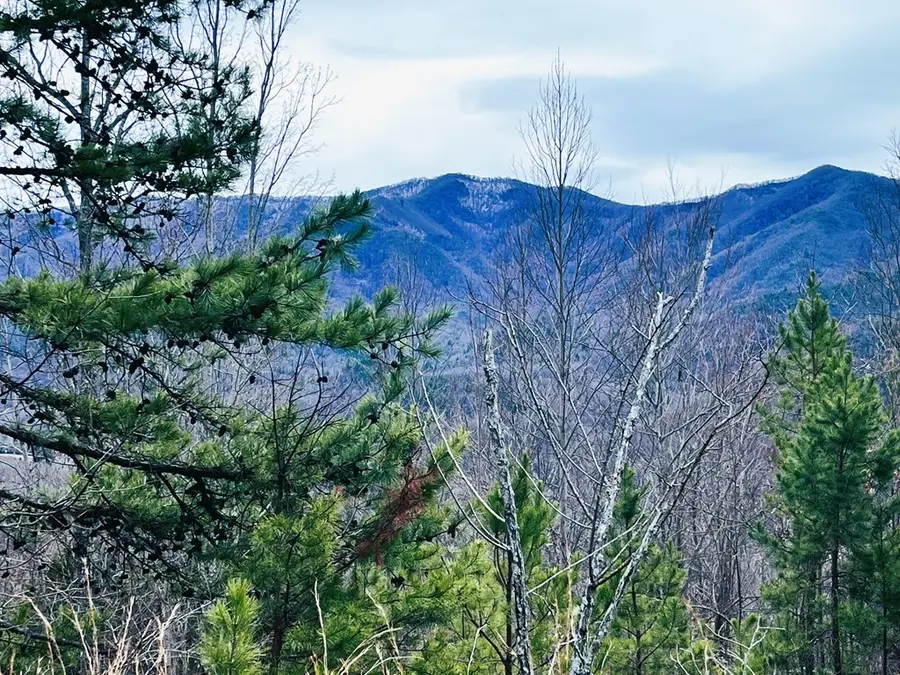 1441 Valley View Heights Lane, Andrews, NC 28901 - #2