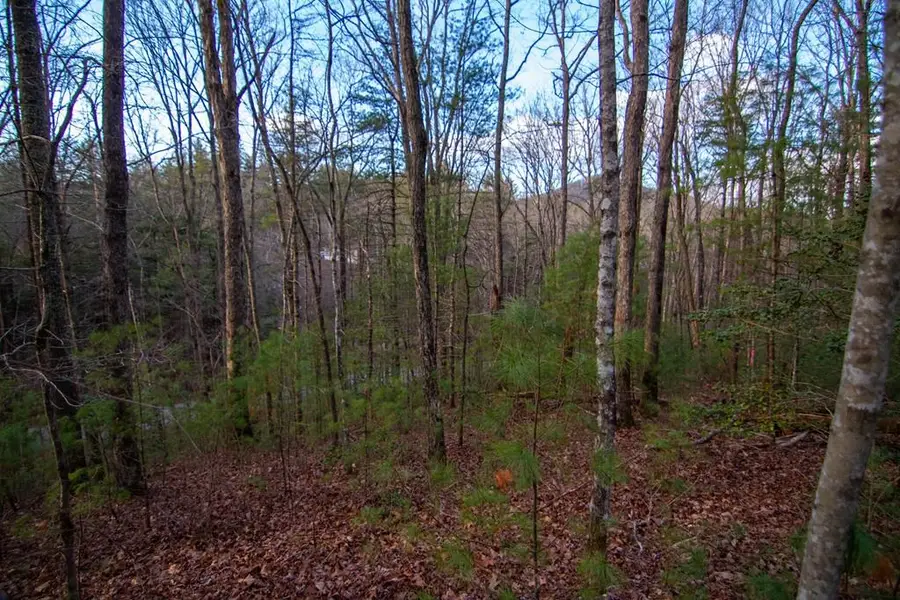 Lot 1 Rock Creek, Cherry Log, GA 30522 - #3